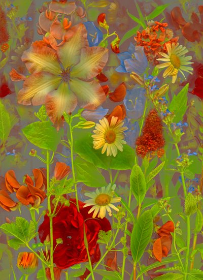 Artfloral Nr. 5 Frühlingsgespräch von Antonius Antonius