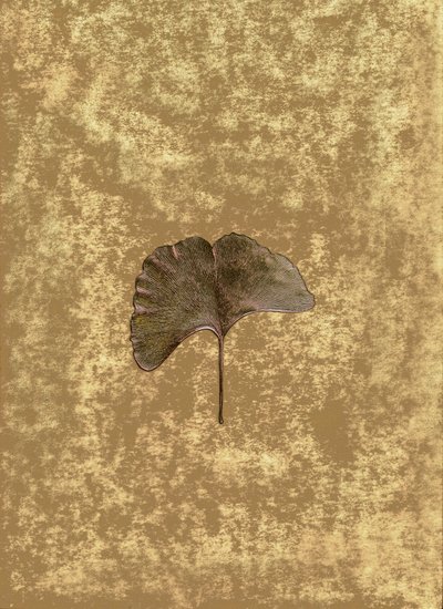 Ginkgo 3 von Antonius Antonius