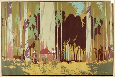 Fällen eines Karri-Baums, Westaustralien, aus der Serie 