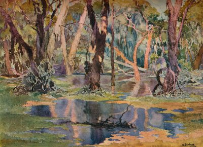 Quindanning Pool, ca. 1927 von Archibald Bertram Webb
