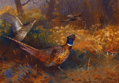 Ein Hahn und eine Henne am Waldrand von Archibald Thorburn