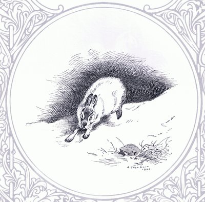 Schneehase, veröffentlicht von Book Club Associates von Archibald Thorburn