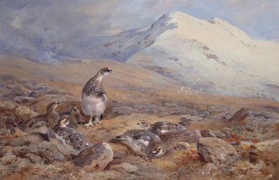 Auf dem Schneehuhngelände von Archibald Thorburn