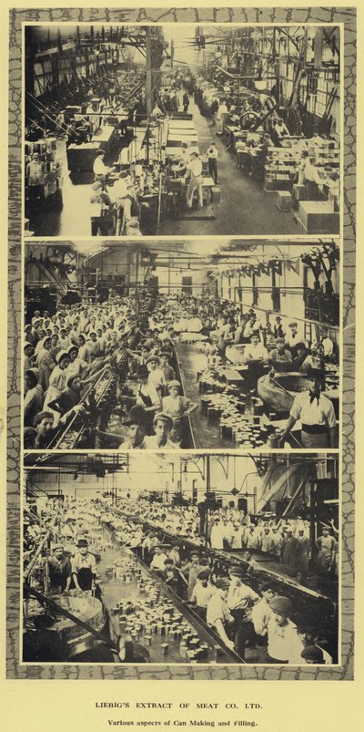 Dosenherstellung und -füllung, Fabrik der Liebig Extract of Meat Company, Ltd, Argentinien von Argentinian Photographer