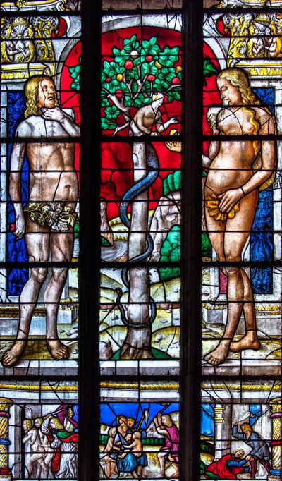 Kathedrale Sainte-Marie, Auch, Gers, 2018 von Arnaud de Moles