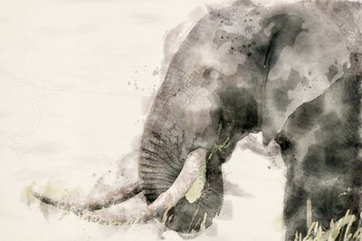 Friedlicher Elefant Aquarell von Arno Du Toit