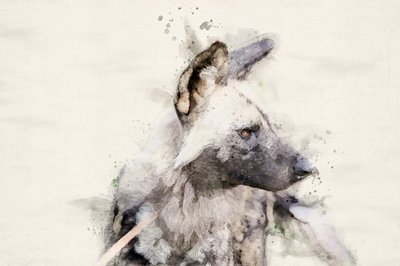 Ruhiger Wildhund Aquarell von Arno Du Toit