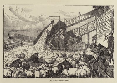 Schweinetreiben in Cincinnati von Arthur Boyd Houghton