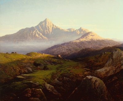 Hochlandrinder in einer bergigen Landschaft von Arthur Gilbert