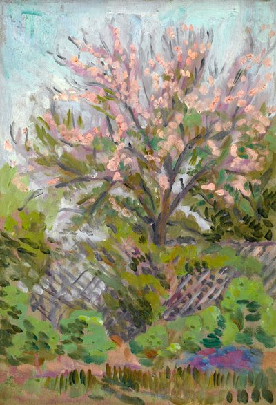Kirschblüte mit Gitterzaun darunter von Arthur Haythorne Studd