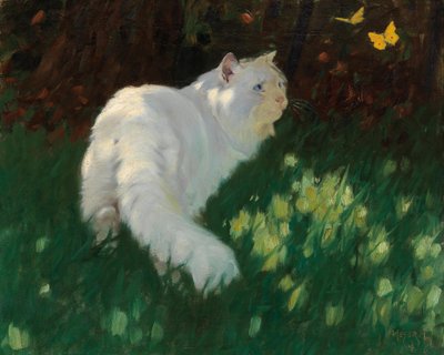 Weiße Katze und Schmetterlinge von Arthur Heyer