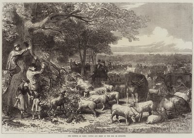 Die Verteidigung von Paris, Rinder und Schafe im Bois de Boulogne von Arthur Hopkins