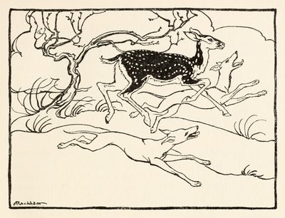 Becfola in ihrem Wagen aus The Wooing of Becfola in Irish Fairy Tales von Arthur Rackham