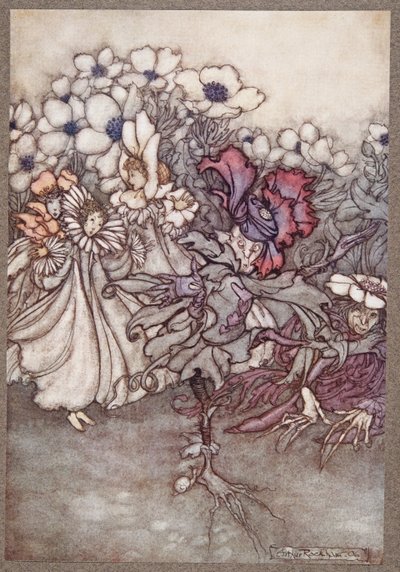 Aber wenn man hinschaut und sie befürchten, dass keine Zeit zum Verstecken bleibt, stehen sie ganz still und tun so, als wären sie Blumen, aus Peter Pan in Kensington Gardens von J M Barrie, veröffentlicht 1906 von Arthur Rackham