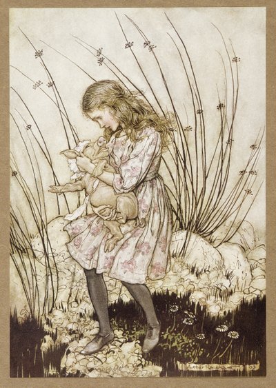 "Es grunzte wieder so heftig, dass sie etwas alarmiert in sein Gesicht blickte", aus Alice im Wunderland, von Lewis Carroll, veröffentlicht 1907 (Farblithografie) von Arthur Rackham
