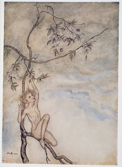 Fröhlich, fröhlich werde ich jetzt unter der Blüte leben, die am Ast hängt, Illustration aus William Shakespeares Der Sturm, veröffentlicht 1926 von Arthur Rackham
