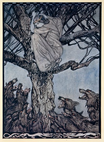 Sie schaute mit wütendem Kummer auf die angespannte und knurrende Horde unten, Illustration aus 