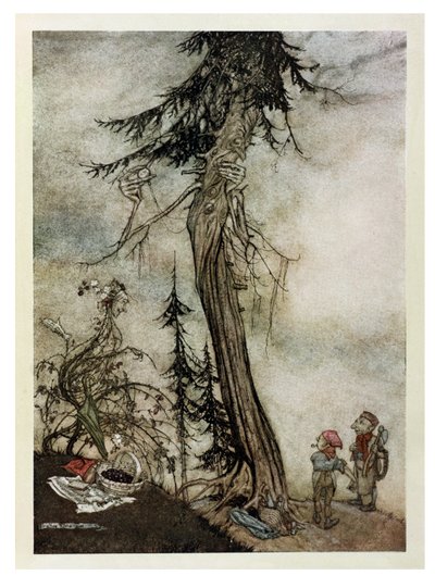 Die Tanne und die Brombeere, Illustration aus 