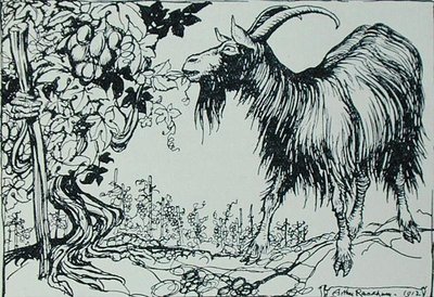 Die Ziege und der Weinstock, Illustration aus 