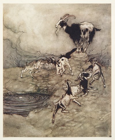 Die sieben Geißlein und ihre Mutter tanzten vor Freude um die Quelle, aus den Märchen der Brüder Grimm, veröffentlicht 1909 von Arthur Rackham