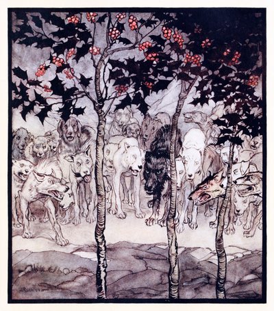 Sie standen draußen, erfüllt von Wildheit und Schrecken. aus The Enchanted Cave of Cesh Corran in Irish Fairy Tales von Arthur Rackham