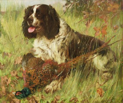Springer Spaniel mit Fasan von Arthur Wardle