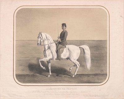 Alexander von Nadosy-Nadas von Artist Unknown