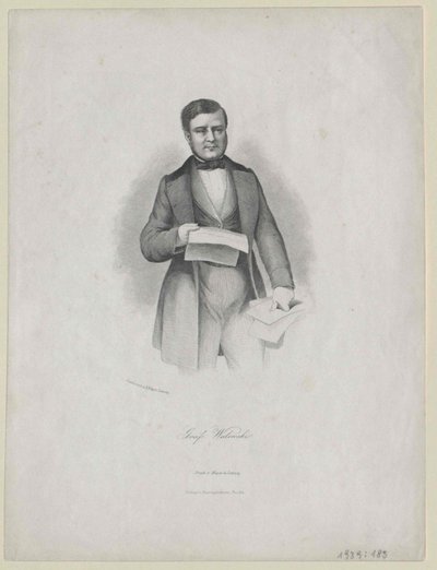Alexandre Graf Walewski von Artist Unknown