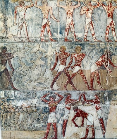 Kunst Ägypten: landwirtschaftliche Szene, 6. Dynastie von Artist Unknown
