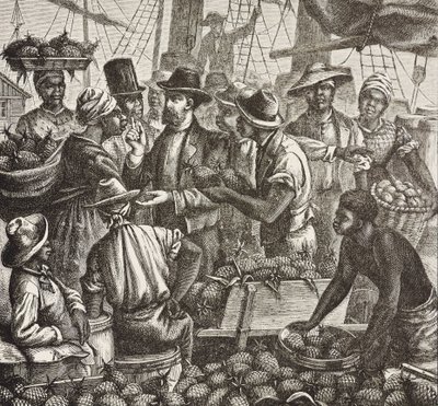Geschichte Englands (19. Jahrhundert). Kolonisierung (1880). Bahama verkauft Ananas. Englische Kolonie auf New Providence Island. Ananas waren eines der Exportprodukte aus dem Hafen von Nassau, dem wichtigsten. Gravur. Private Sammlung von Artist Unknown