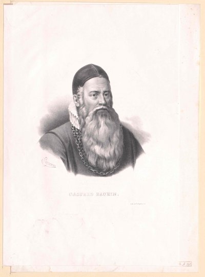Kaspar Bauhin von Artist Unknown