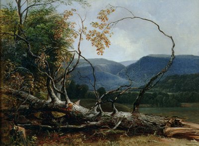 Stratton Notch, Vermont von Asher Brown Durand