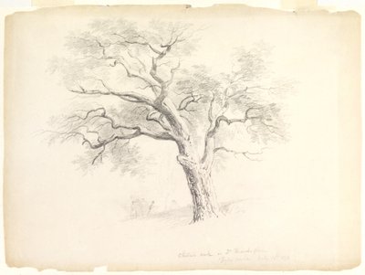 Die Kastanieneiche auf dem Hosack-Anwesen, Hyde Park, New York mit fünf Figuren und einem Künstler beim Skizzieren, 1838 von Asher Brown Durand
