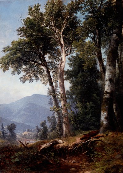 Waldlandschaft, um 1850 von Asher Brown Durand