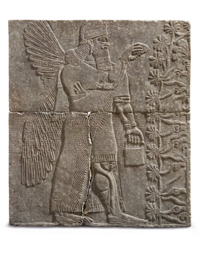 Relief eines geflügelten Genius, Herrschaft von Ashurnasirpal, ca. 883-859 v. Chr. von Assyrian