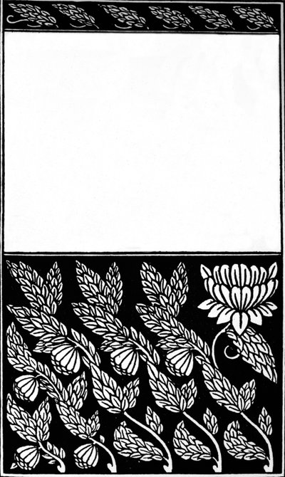 Entwurf für das Cover von Nobody