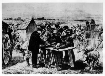 Impfung von Schafen durch Pasteur von Auguste Andre Lancon