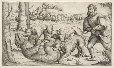 Eine Bärenjagd von Augustin Hirschvogel