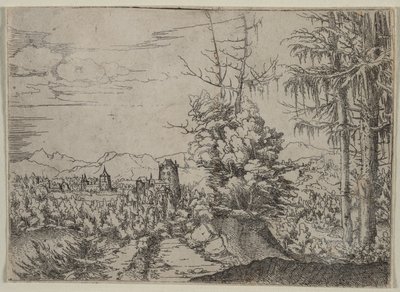 Landschaft mit zwei Kiefern von Augustin Hirschvogel