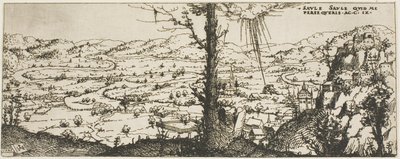 Landschaft mit einem Baum im Vordergrund von Augustin Hirschvogel