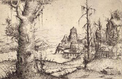 Flusslandschaft mit einem kräftigen Baum von Augustin Hirschvogel