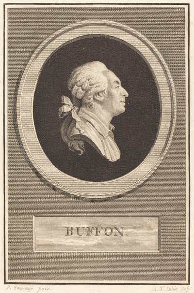 Buffon von Augustin de Saint Aubin after Piat Joseph Sauvage