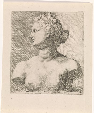 Büste der Venus de