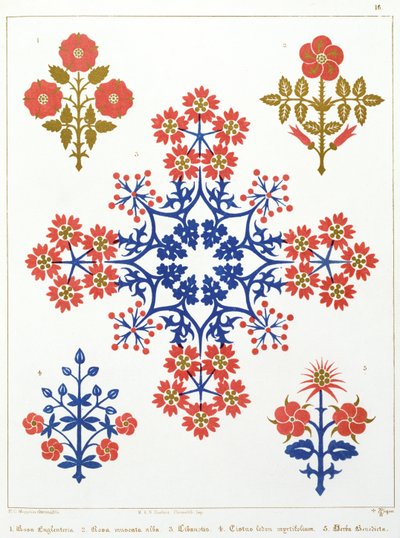 Veilchen-, Iris- und Tulpenmotiv-Tapetendesign, gedruckt von M. und N. Hanhart von Augustus Welby Northmore Pugin