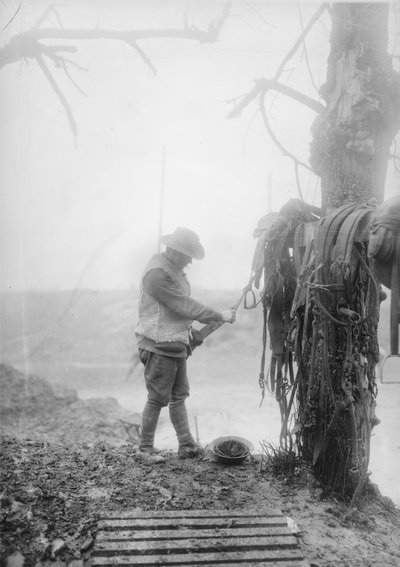 Ein unbekannter australischer Artilleriefahrer reinigt den Schlamm von den Geschirren seines Teams in einer Unterkunft in der Nähe von Mametz, Dezember 1916 von Australian Photographer