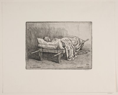 Das Mädchen auf der Bahre von Axel Hou