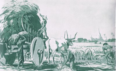 Ein Reisfeld in Burma, aus MacMillan Schulplakaten, ca. 1950-60er Jahre (Lithografie) von Ba Nyan