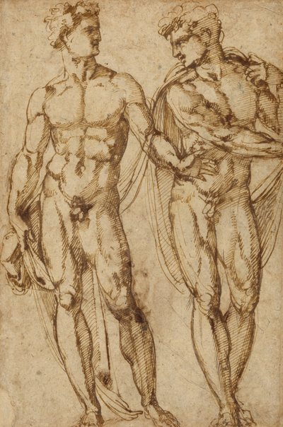 Studie von zwei Männern (recto); Studie des Kopfes eines bärtigen Mannes (verso) von Baccio Bandinelli