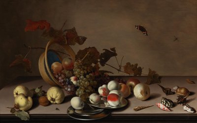 Früchtestillleben mit Weidenkorb, Muscheln und Schmetterling, erste Hälfte des 17. Jahrhunderts von Balthasar van der Ast