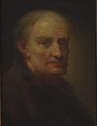 Kopf eines alten Mannes von Balthasar Denner